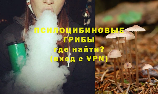 дурь Алзамай