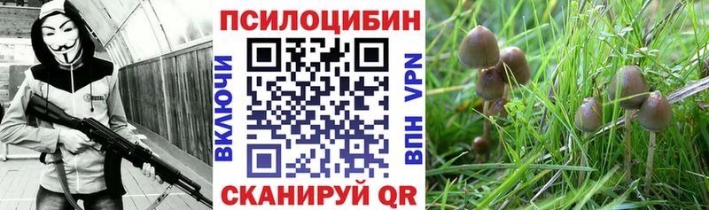 Галлюциногенные грибы Psilocybe  сколько стоит  Анапа 